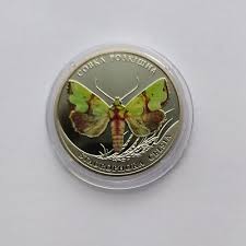 Attēlu rezultāti vaicājumam “Staurophora celsia”