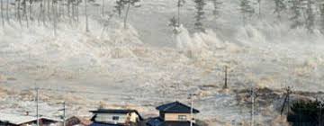 Hasil gambar untuk tsunami jepang
