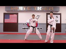 Image result for White Tiger Martial Arts