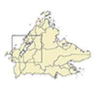 Attēlu rezultāti vaicājumam “Thamnobryum subserratum sporophyte”