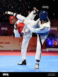 Image result for Reading Wtf Taekwondo
