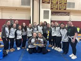 Image result for Mansfield Olympic Gymnastics Club