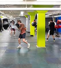 Image result for York University Boxing Club