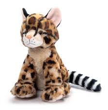 Image result for оцелот