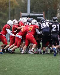 Image result for Birmingham University Lions