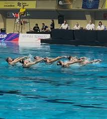 Image result for City of Preston Aquatics