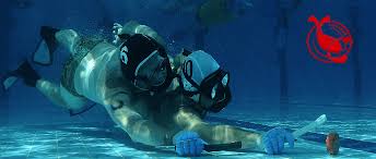 Image result for Kingsbridge Krays Octopush Club