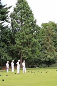 Image result for Friary Bowling Club
