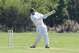 Image result for Sandyford Cricket Club