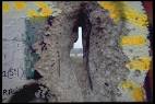 Berlin 1989, the wall cracks - via Daymix