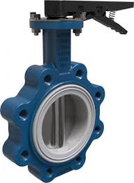 Картинки по запросу белку зажевало в диск