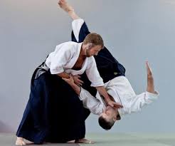 Image result for Tora-Kai Judo