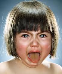 Image result for jill greenberg