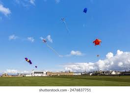 Image result for Kite Club of Scotland