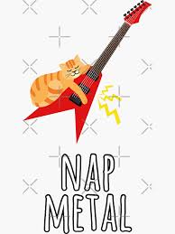 Image result for Cat sleeping in guitar