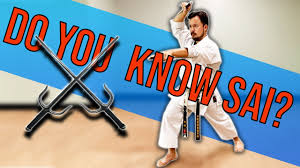 Image result for Sai Martial Arts