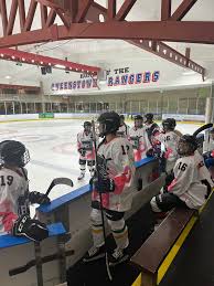 Image result for Tenbury Ladies Hockey Club