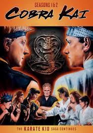 Image result for Carn Brea Karate Kai