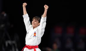 Image result for Sandokai Karate