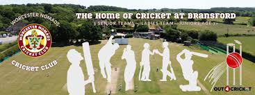 Image result for Bromham Nomads Cricket Club