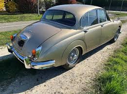 Image result for Golden Sand 1962 Jaguar