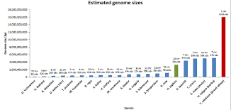 Image result for genome sizes