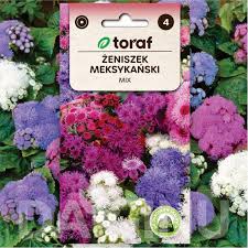 Image result for Ageratum mexicanum