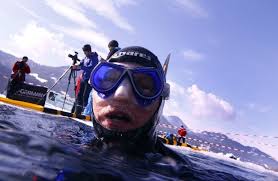 Image result for FXU Underwater Hockey