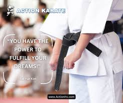 Image result for Action Karate