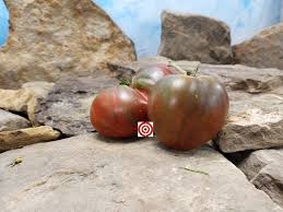 Afbeeldingsresultaat voor erdie family oxheart tomato