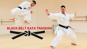 Image result for Shotokan Karate