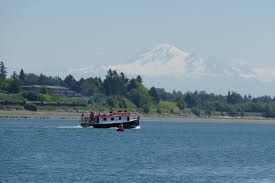 Image result for Portway Plodders