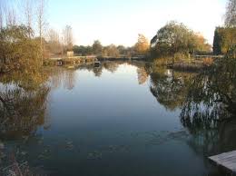 Image result for Bay Malton Angling Club