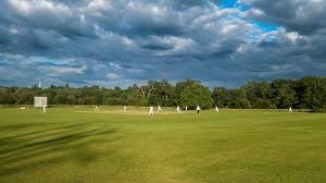 Image result for Ingatestone & Fryerning Cricket Club
