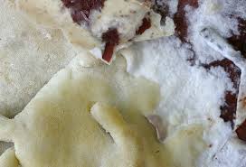 Attēlu rezultāti vaicājumam “Gloeoporus pannocinctus”