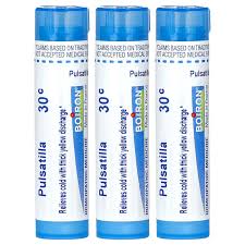 Image result for Pulsatilla