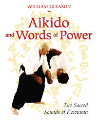 Image result for Aikido - Shobu UK