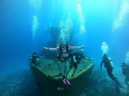 Image result for innerspace divers
