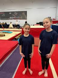 Image result for Hinckley Gymnastics Club