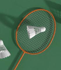Image result for Limpsfield Badminton Club