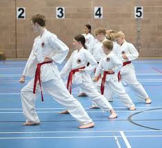 Image result for Warrington Shotokan Karate Club