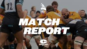 Image result for Chinnor Rugby Club