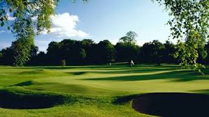 Image result for Falkirk Tryst Golf Club