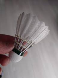 Image result for Feathers Badminton- Leatherhead