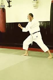 Image result for Loughton Wado-Kai Karate Club