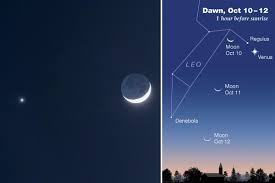 Image result for moon venus