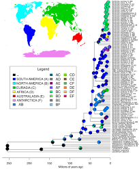 Attēlu rezultāti vaicājumam “Antitrichia curtipendula sporophyte”
