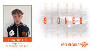 Image result for Cupello