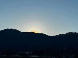 Attēlu rezultāti vaicājumam “pollen corona”