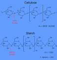 Carbohydrates - Cellulose
